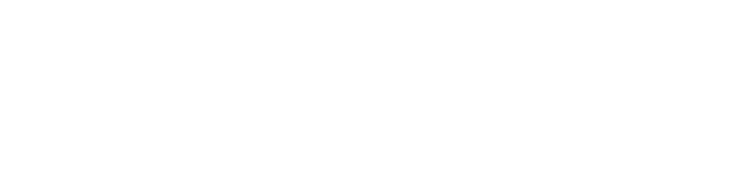 Quietum Plus Supplement